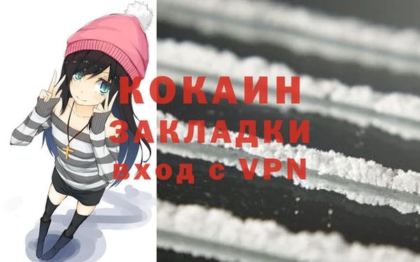 прущие грибы Каменка