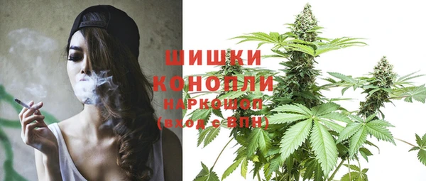 шишки Касимов