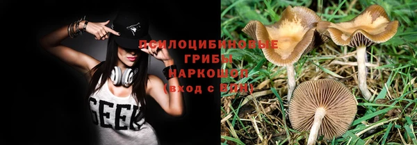 прущие грибы Каменка