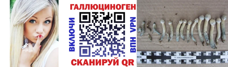 Псилоцибиновые грибы Cubensis  Купить закладки  Нефтеюганск 